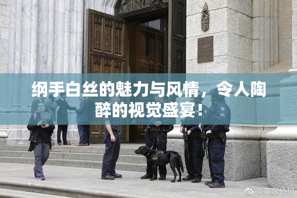 纲手白丝的魅力与风情，令人陶醉的视觉盛宴！
