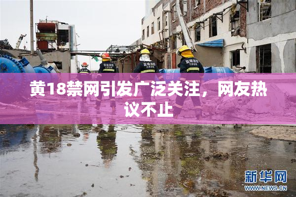 黄18禁网引发广泛关注，网友热议不止