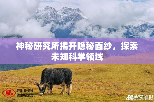 神秘研究所揭开隐秘面纱，探索未知科学领域