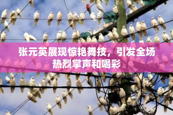 张元英展现惊艳舞技，引发全场热烈掌声和喝彩