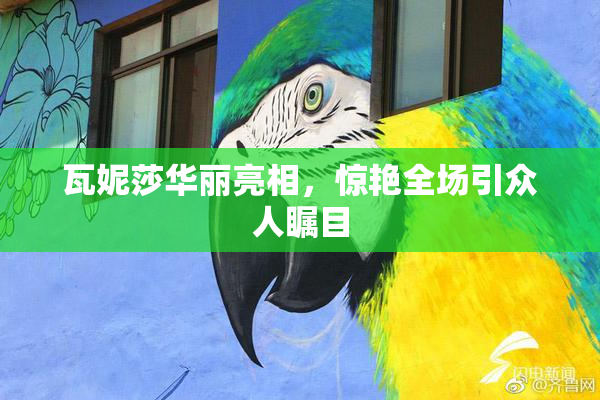 瓦妮莎华丽亮相，惊艳全场引众人瞩目