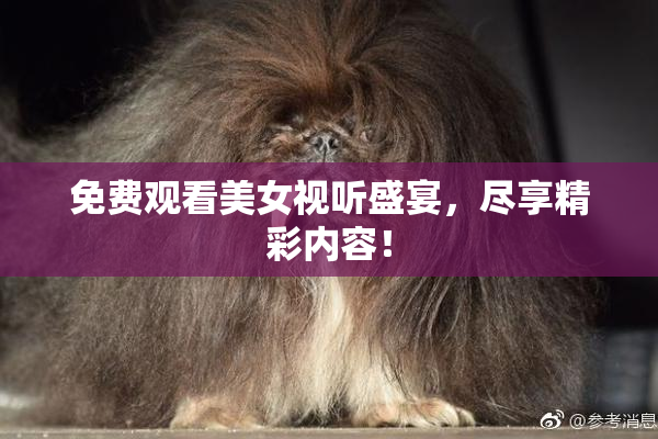 免费观看美女视听盛宴，尽享精彩内容！