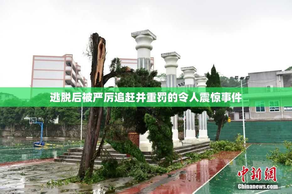 逃脱后被严厉追赶并重罚的令人震惊事件