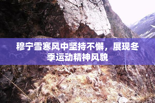 穆宁雪寒风中坚持不懈，展现冬季运动精神风貌