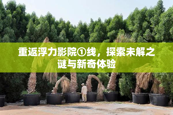 重返浮力影院①线，探索未解之谜与新奇体验