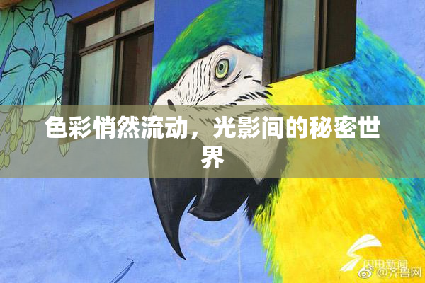 色彩悄然流动，光影间的秘密世界