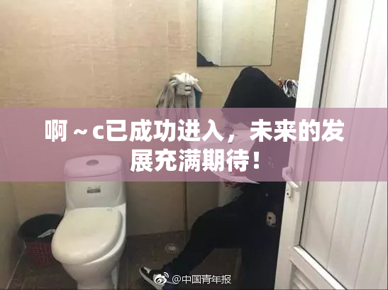 啊～c已成功进入，未来的发展充满期待！