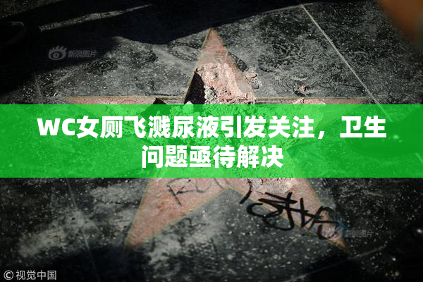WC女厕飞溅尿液引发关注，卫生问题亟待解决