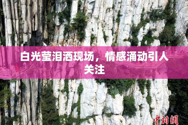 白光莹泪洒现场，情感涌动引人关注