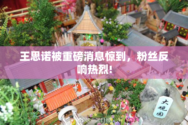 王思诺被重磅消息惊到，粉丝反响热烈!