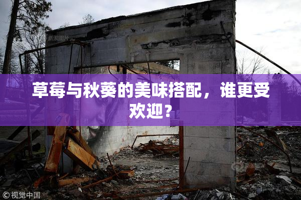 草莓与秋葵的美味搭配，谁更受欢迎？
