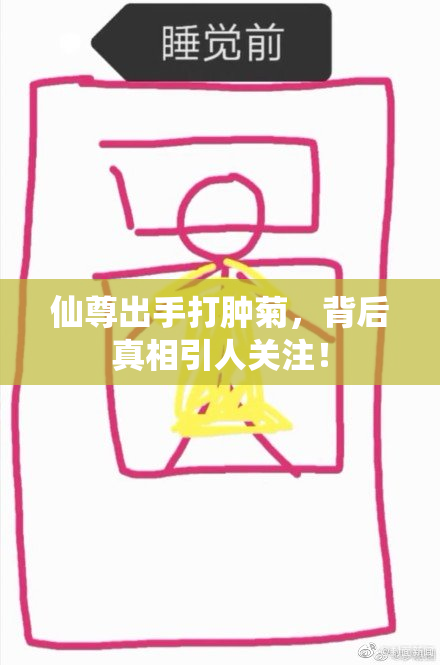 仙尊出手打肿菊，背后真相引人关注！