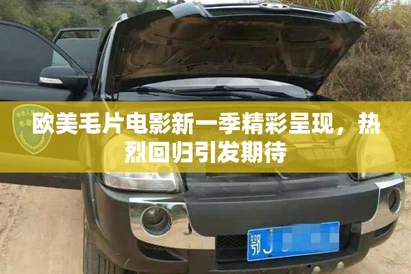 欧美毛片电影新一季精彩呈现，热烈回归引发期待