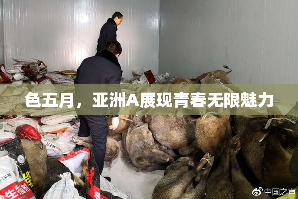色五月，亚洲A展现青春无限魅力