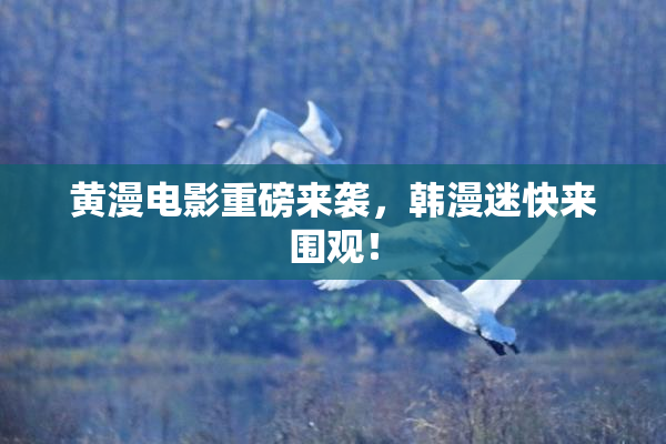 黄漫电影重磅来袭，韩漫迷快来围观！