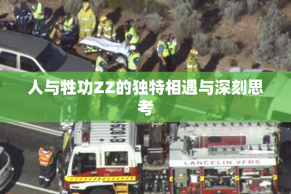 人与牲功ZZ的独特相遇与深刻思考