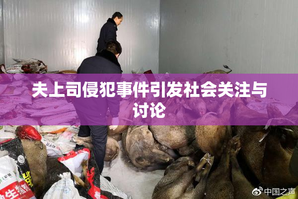 夫上司侵犯事件引发社会关注与讨论