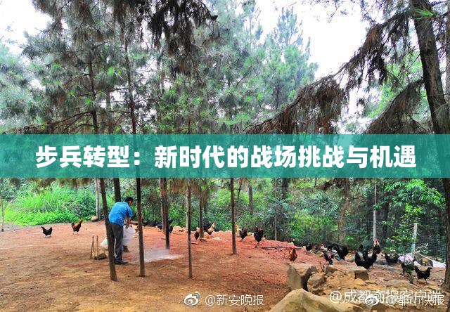 步兵转型：新时代的战场挑战与机遇