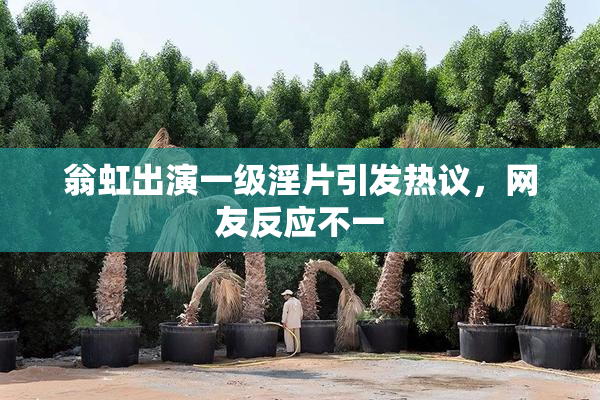 翁虹出演一级淫片引发热议，网友反应不一