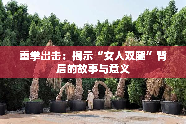重拳出击：揭示“女人双腿”背后的故事与意义