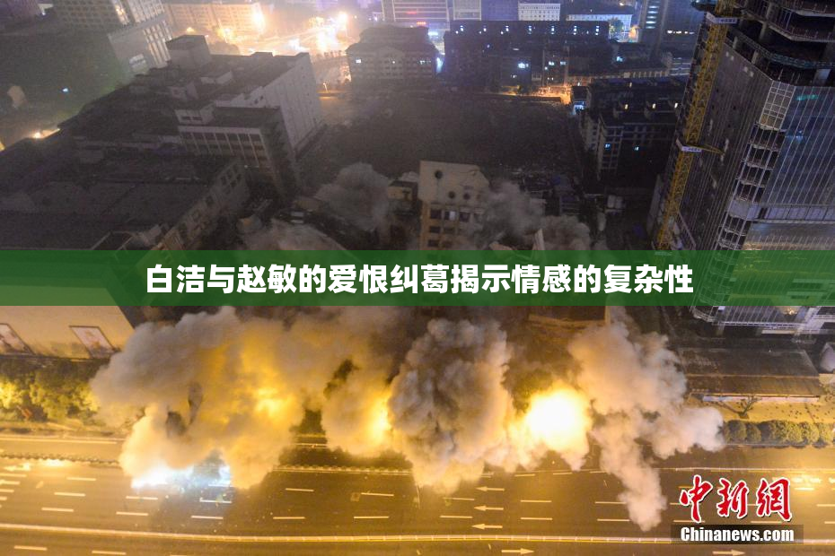 白洁与赵敏的爱恨纠葛揭示情感的复杂性