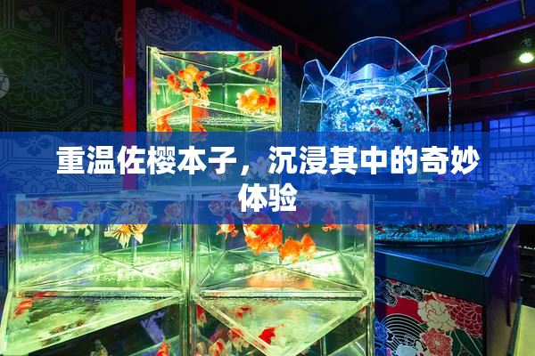 重温佐樱本子，沉浸其中的奇妙体验
