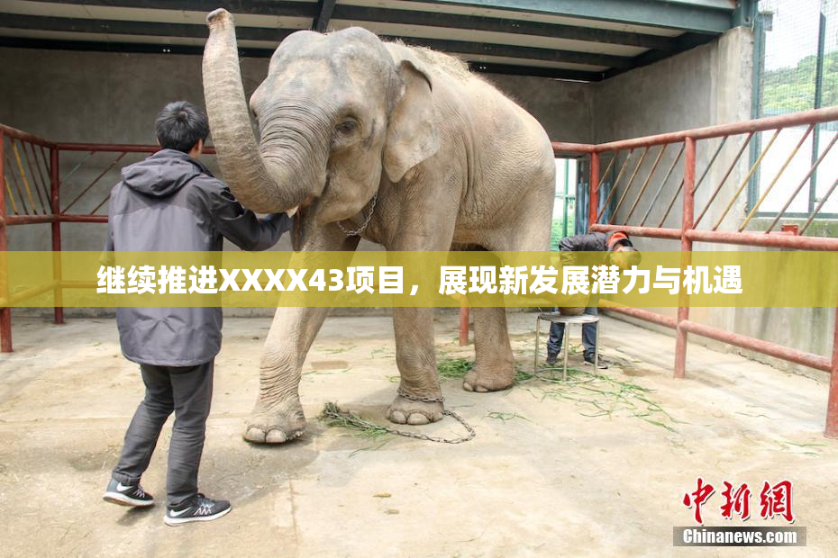 继续推进XXXX43项目，展现新发展潜力与机遇