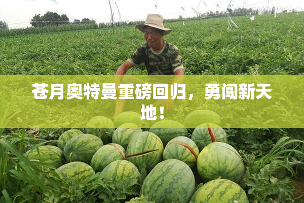 苍月奥特曼重磅回归，勇闯新天地！