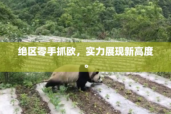 绝区零手抓欧，实力展现新高度。