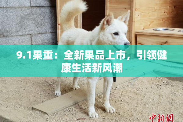 9.1果重：全新果品上市，引领健康生活新风潮