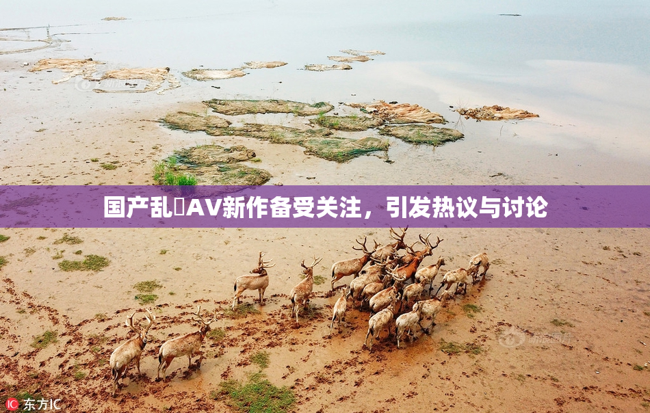 国产乱婬AV新作备受关注，引发热议与讨论