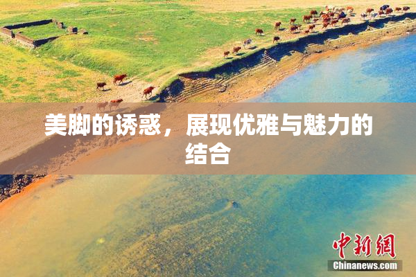 美脚的诱惑，展现优雅与魅力的结合