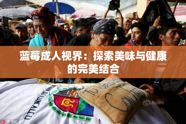 蓝莓成人视界：探索美味与健康的完美结合