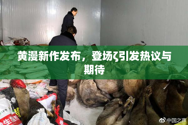 黄漫新作发布，登场ζ引发热议与期待
