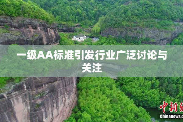 一级AA标准引发行业广泛讨论与关注