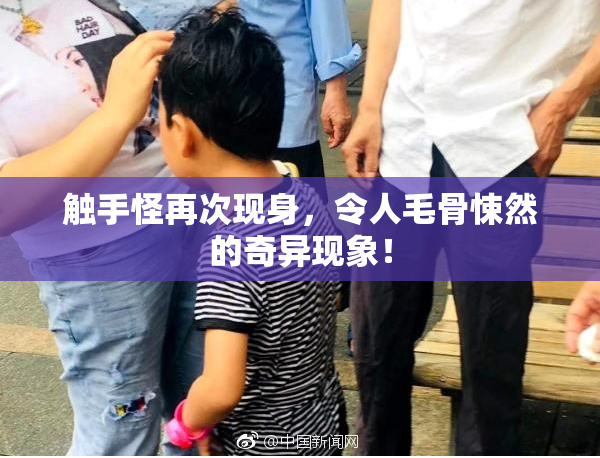 触手怪再次现身，令人毛骨悚然的奇异现象！