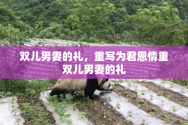 双儿男妻的礼，重写为君恩情重双儿男妻的礼