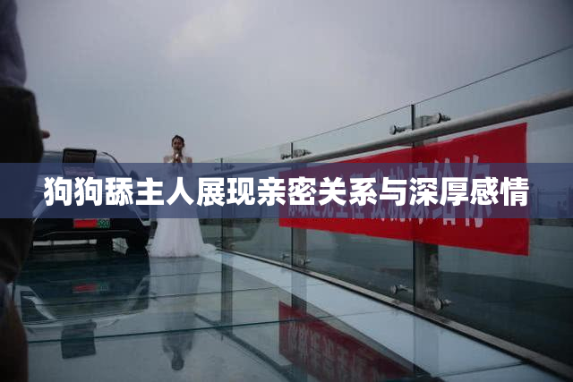 狗狗舔主人展现亲密关系与深厚感情