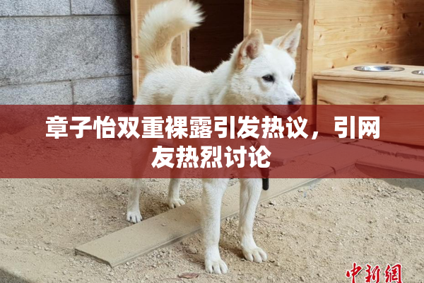 章子怡双重裸露引发热议，引网友热烈讨论