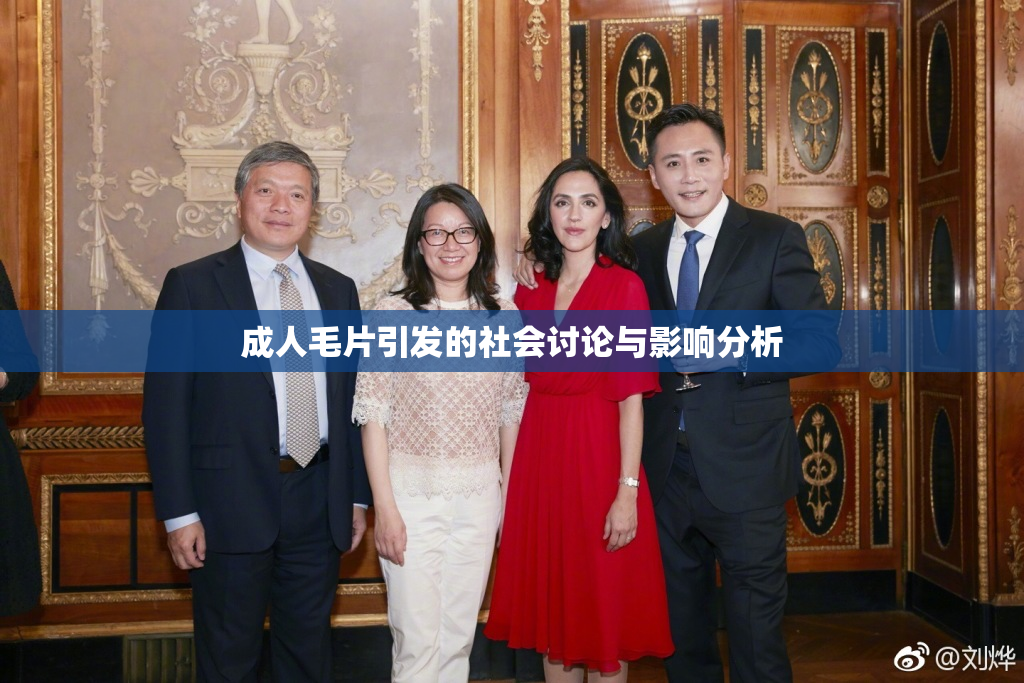 成人毛片引发的社会讨论与影响分析