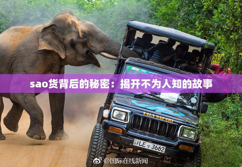 sao货背后的秘密：揭开不为人知的故事