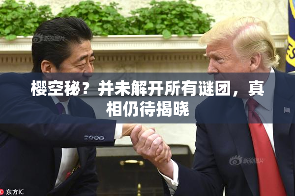 樱空秘？并未解开所有谜团，真相仍待揭晓