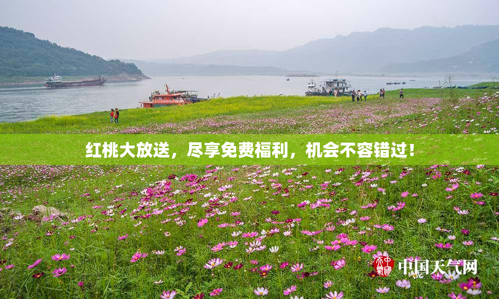 红桃大放送，尽享免费福利，机会不容错过！