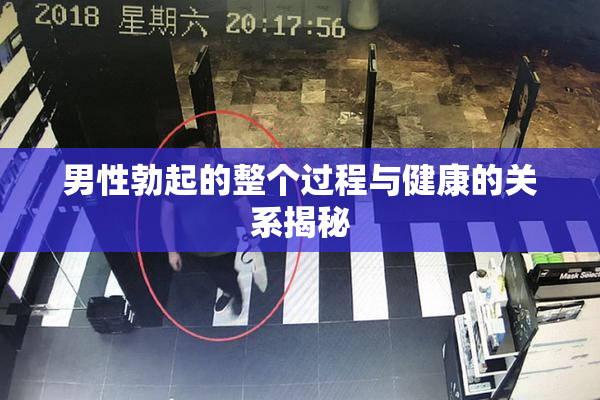 男性勃起的整个过程与健康的关系揭秘
