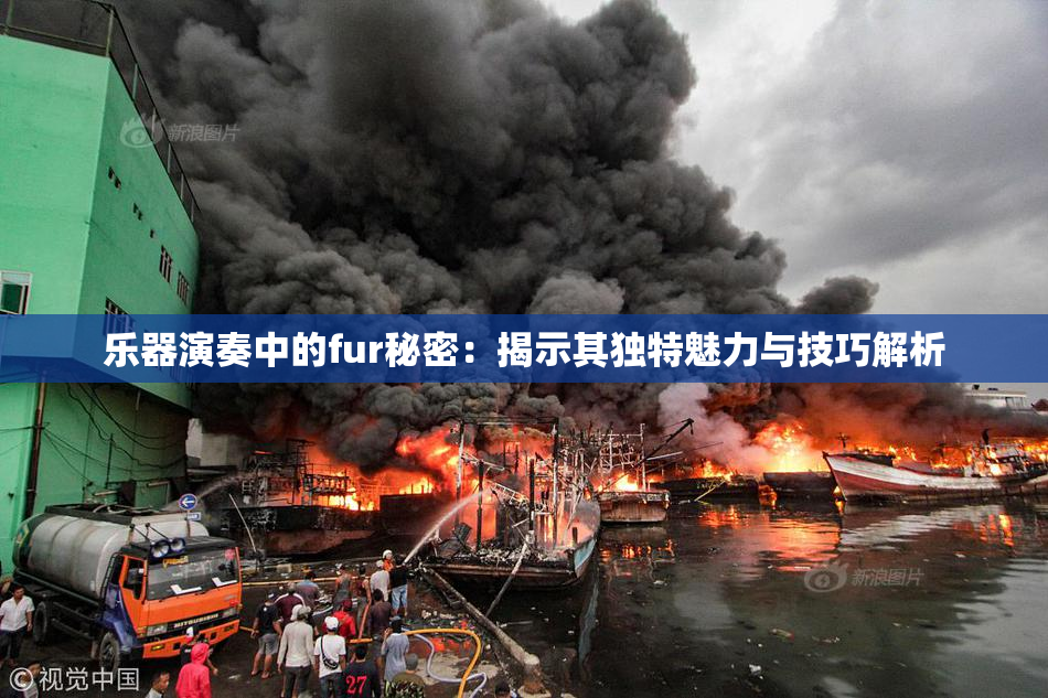 乐器演奏中的fur秘密：揭示其独特魅力与技巧解析