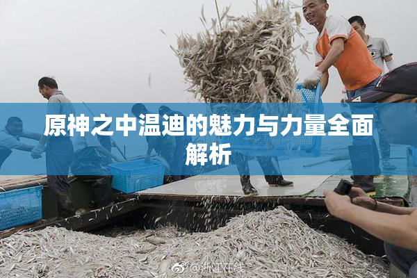 原神之中温迪的魅力与力量全面解析