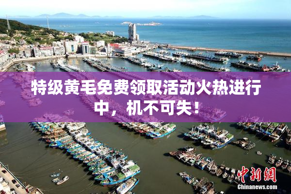 特级黄毛免费领取活动火热进行中，机不可失！