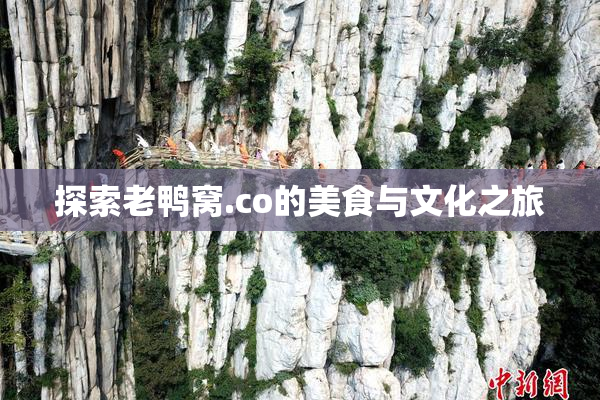 探索老鸭窝.co的美食与文化之旅