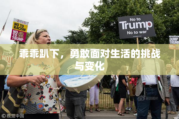 乖乖趴下，勇敢面对生活的挑战与变化