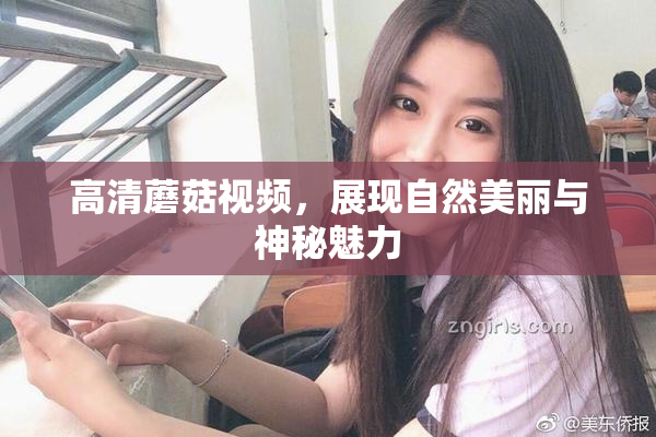 高清蘑菇视频，展现自然美丽与神秘魅力